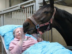一名患病妇女在一个农庄抚摸着马，并对它告别。